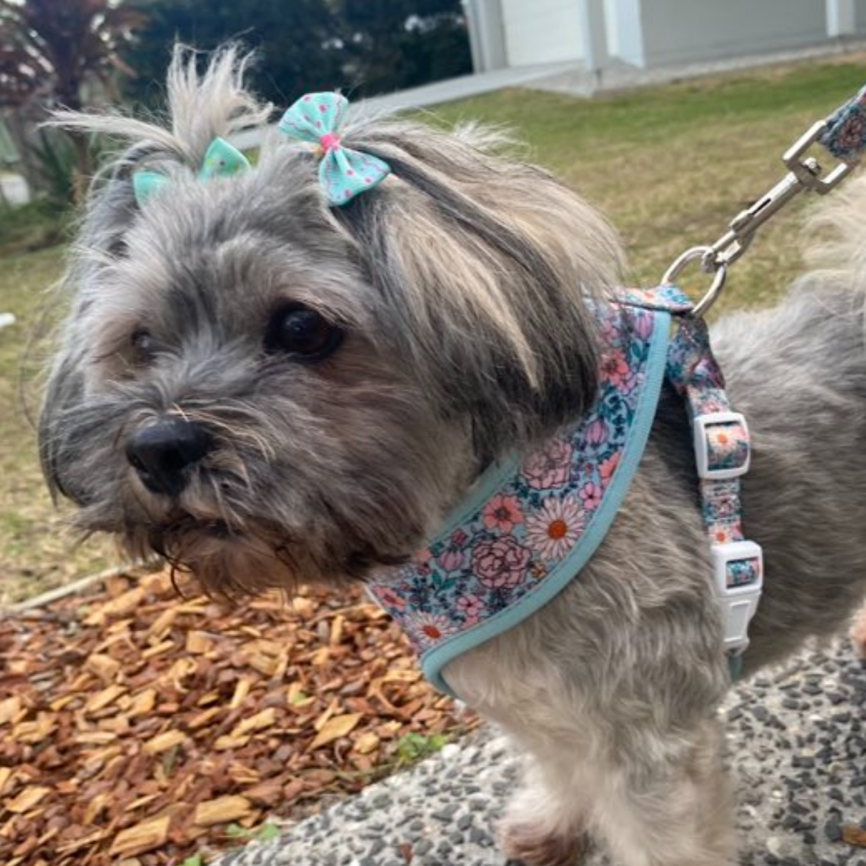 Blooming Gorgeous - Double Sided Reversible Harness