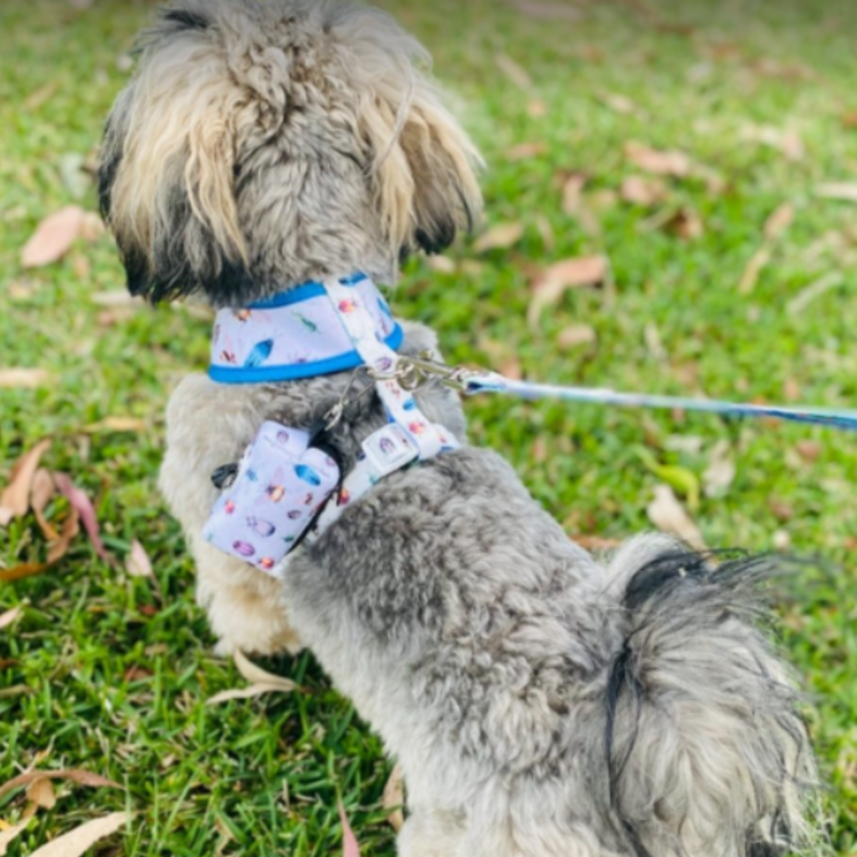 Bug Out & About - Poop Bag Dispenser