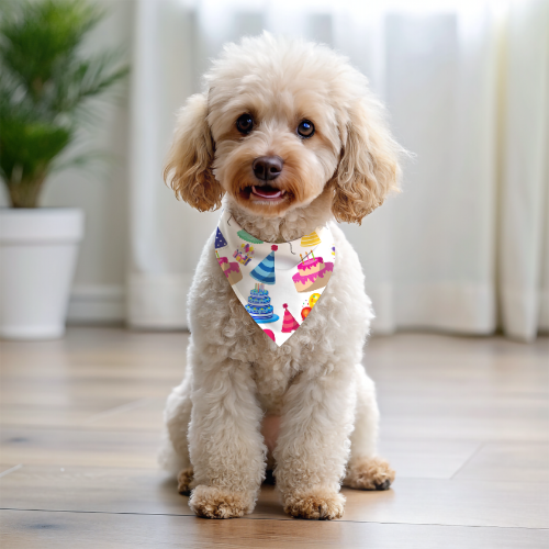 Happy Birthday - Double Sided Bandana