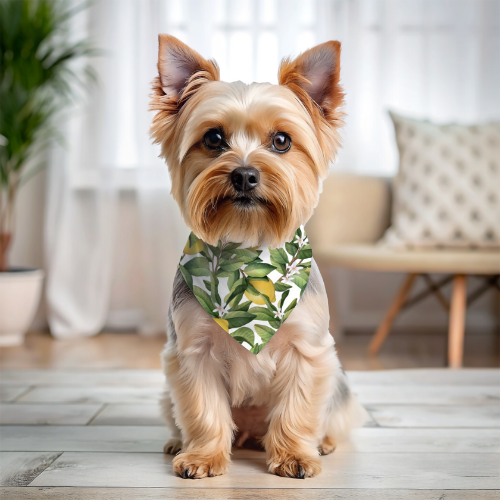 Lemony Stripes - Double Sided Bandana