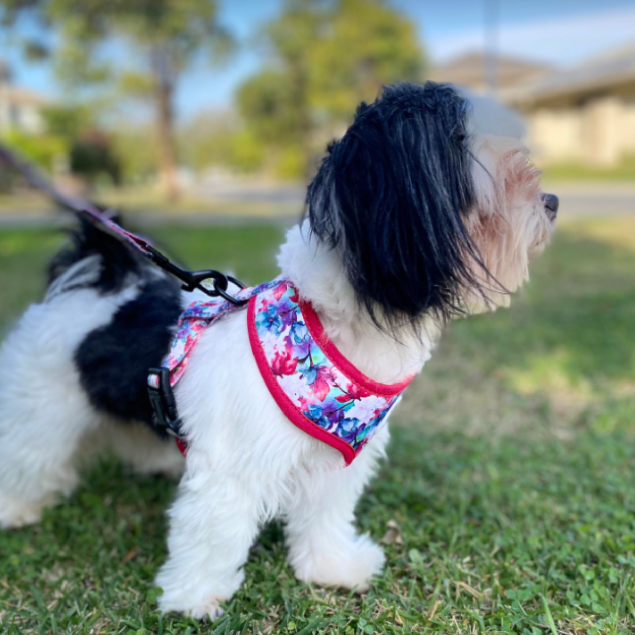 Magenta Bee - Double Sided Reversible Harness