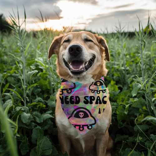 Psycho Space - Double Sided Bandana