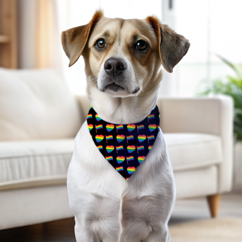 Rainbow Pride - Double Sided Bandana
