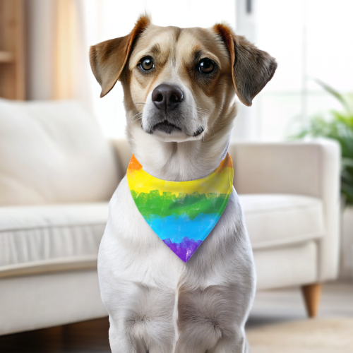 Rainbow Pride - Double Sided Bandana
