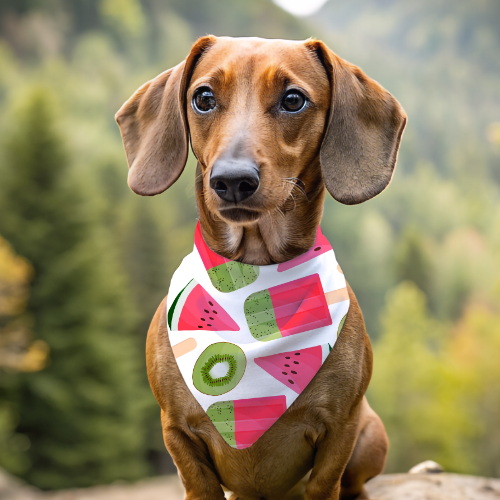 Watermelon Sugar - Double Sided Bandana