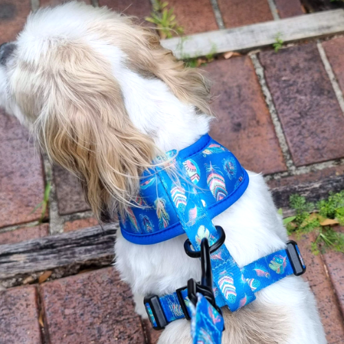 Feathers Galore - Double Sided Reversible Harness Hello Coucou