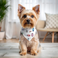 Bug Out & About - Bandana