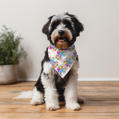 Gnomy Birthday - Double Sided Bandana