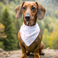 Kicking Cancer's Butt - Double Sided Bandana