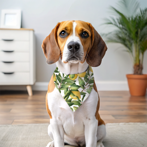 Lemony Stripes - Double Sided Bandana