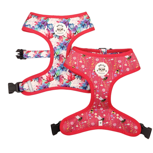 Magenta Bee - Double Sided Reversible Harness