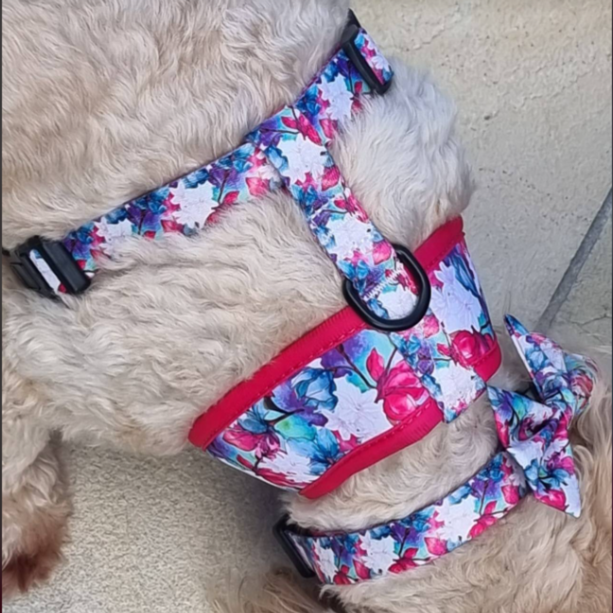 Magenta Bee - Double Sided Reversible Harness