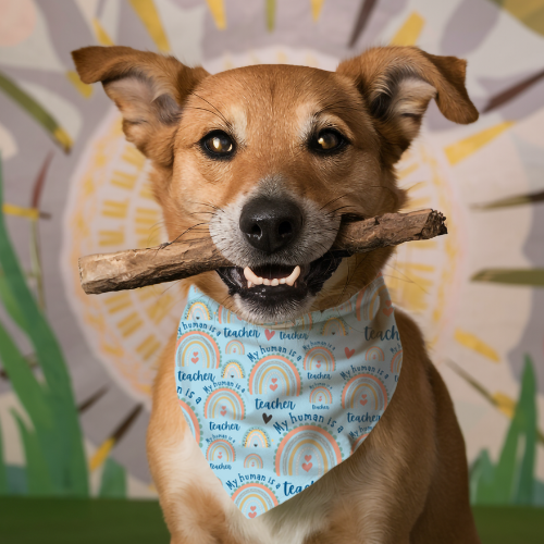 My Human Is a Teacher - Double Sided Bandana