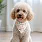 Sew Cute - Double Sided Bandana
