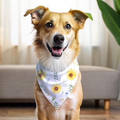 Sunflower Power - Double Sided Bandana