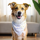 Sunflower Power - Double Sided Bandana